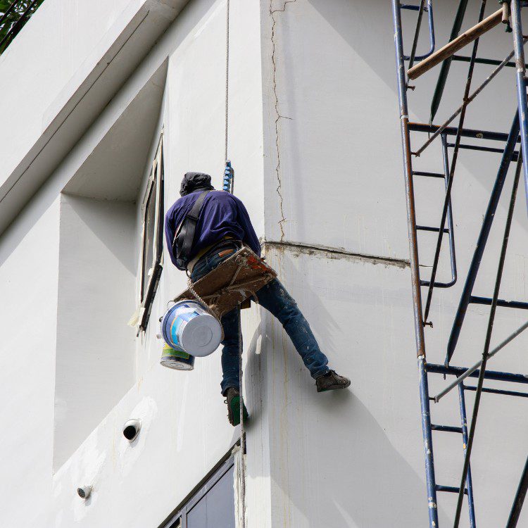 Painting services in Sarasota, FL